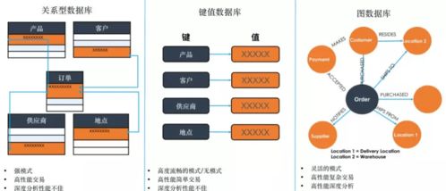 數字化轉型浪潮下，TigerGraph圖技術能否成為數字技術服務新寵兒？